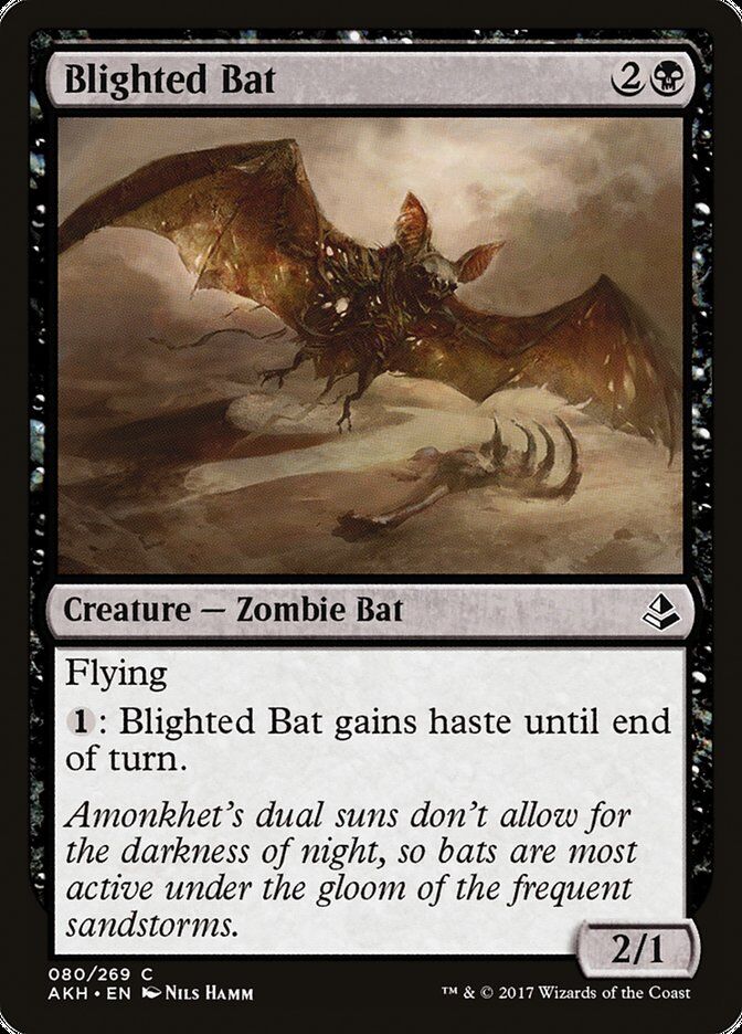 Amonkhet #80 Blighted Bat