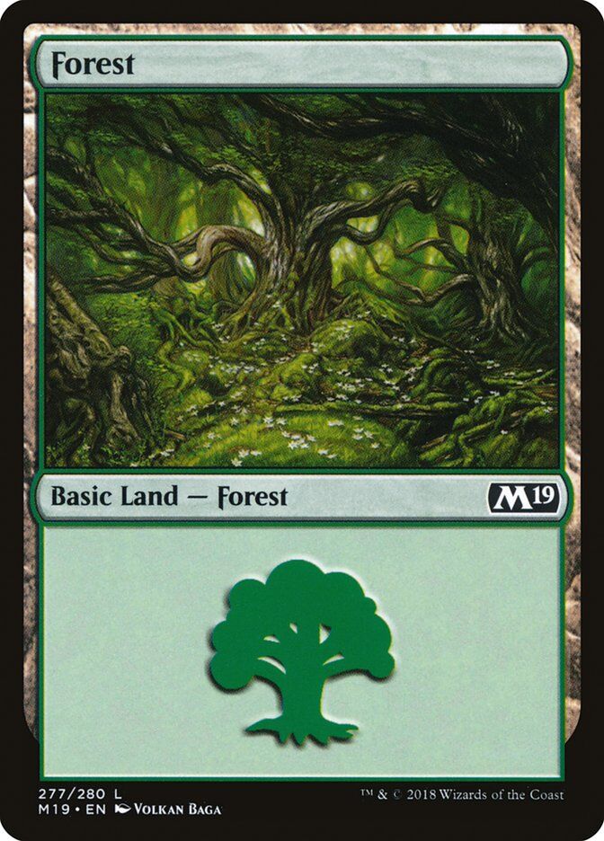 Core Set 2019 #277 Forest (277)