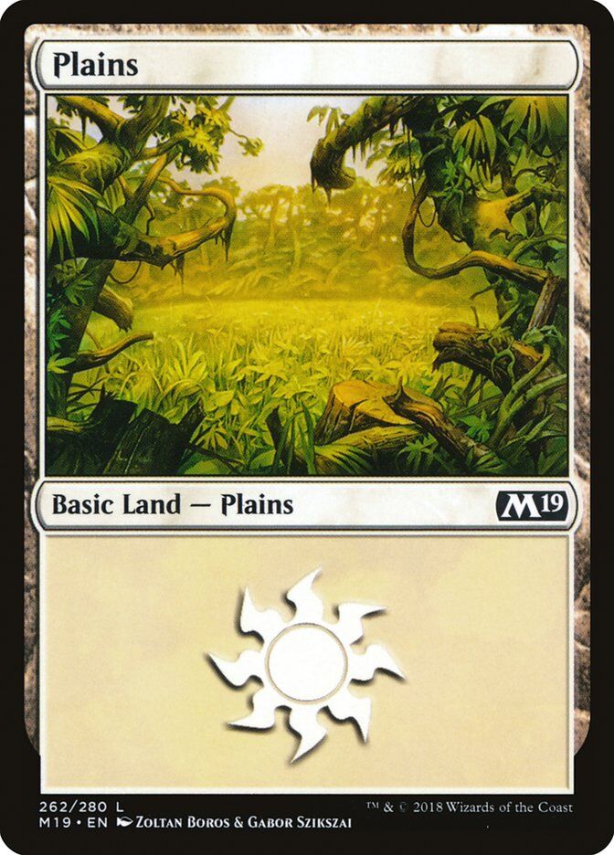 Core Set 2019 #262 Plains (262)
