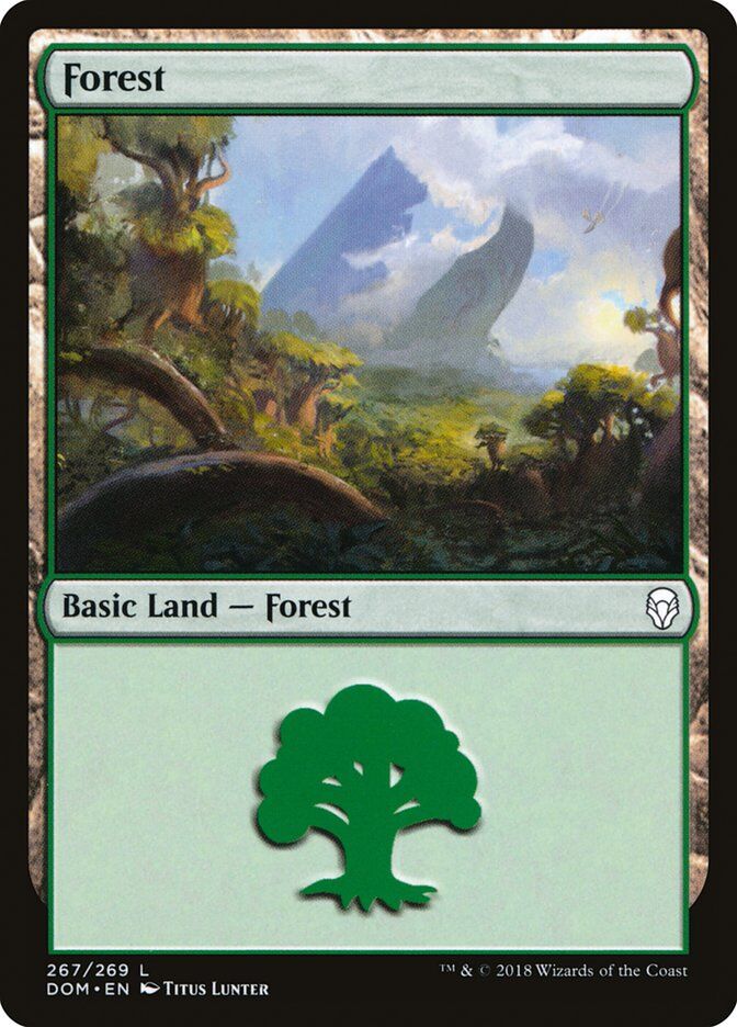 Dominaria #267 Forest (267)
