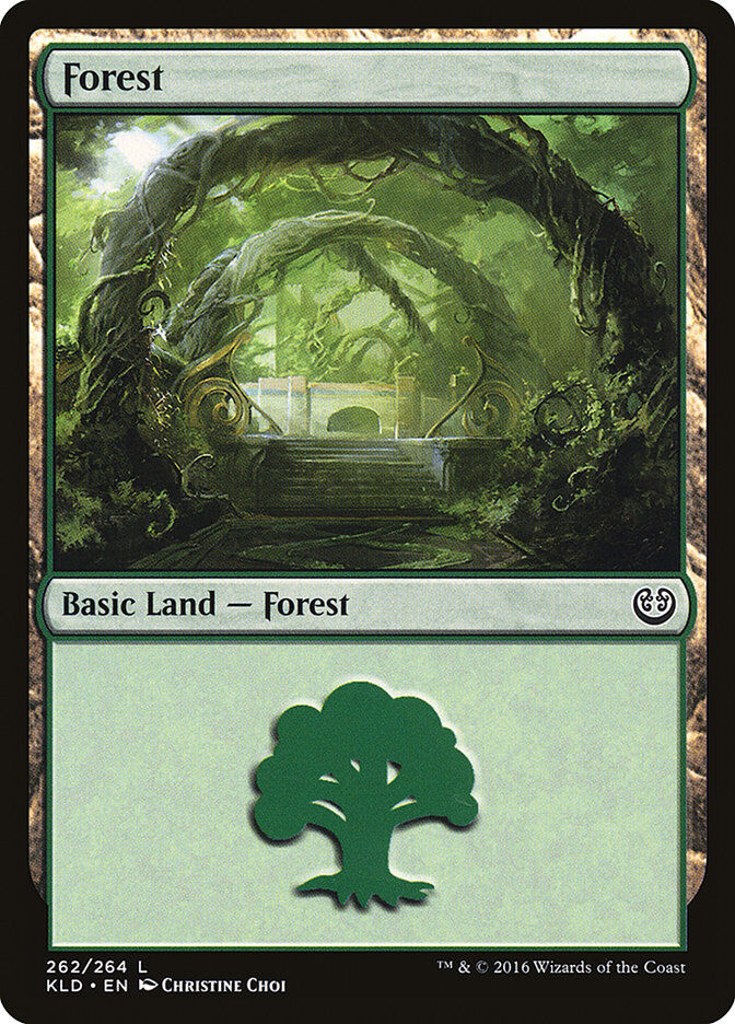 Kaladesh #262 Forest (262)
