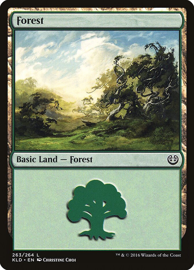 Kaladesh #263 Forest (263)