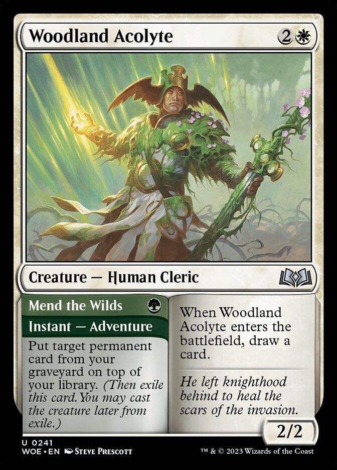 Wilds of Eldraine #241 Woodland Acolyte