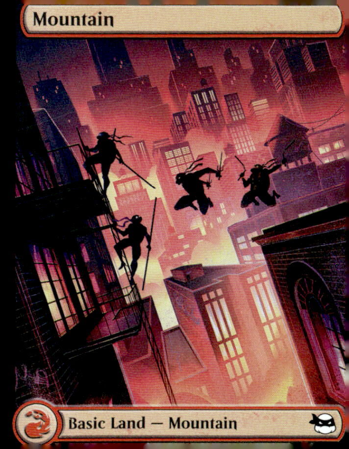 Teenage Mutant Ninja Turtles #194 Mountain (0194)