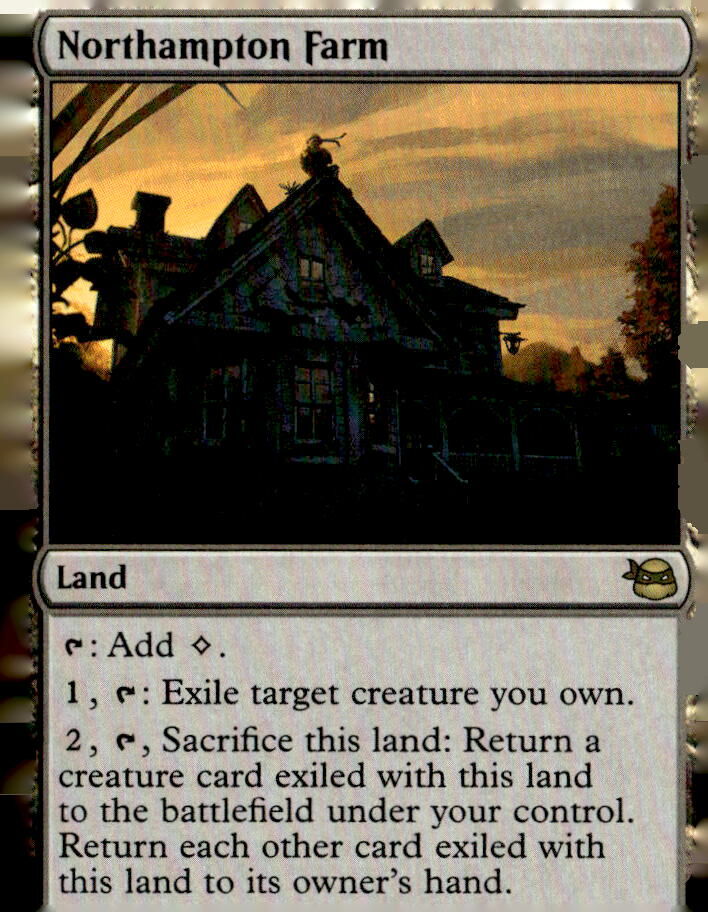 Teenage Mutant Ninja Turtles #188 Northampton