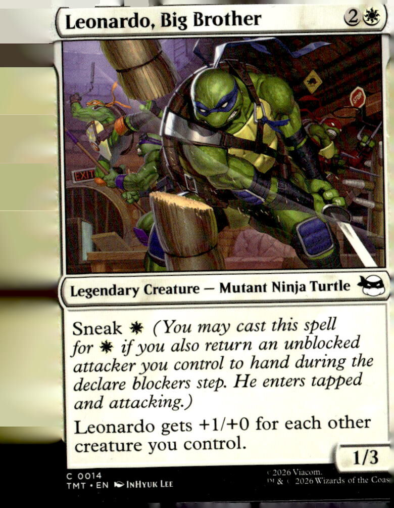 Teenage Mutant Ninja Turtles #14 Leonardo, Big Brother