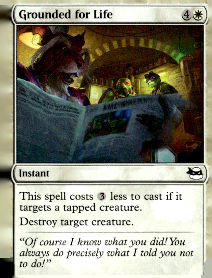 Teenage Mutant Ninja Turtles #7 Grounded for Life