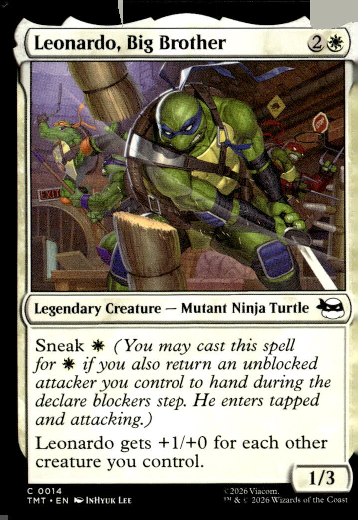 Teenage Mutant Ninja Turtles #14 Leonardo, Big Brother