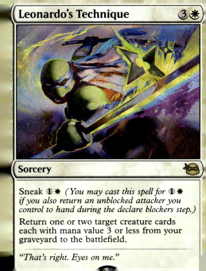 Teenage Mutant Ninja Turtles #18 Leonardo's Technique