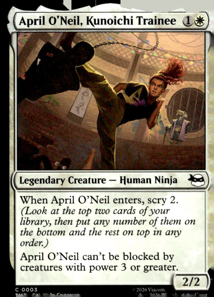 Teenage Mutant Ninja Turtles