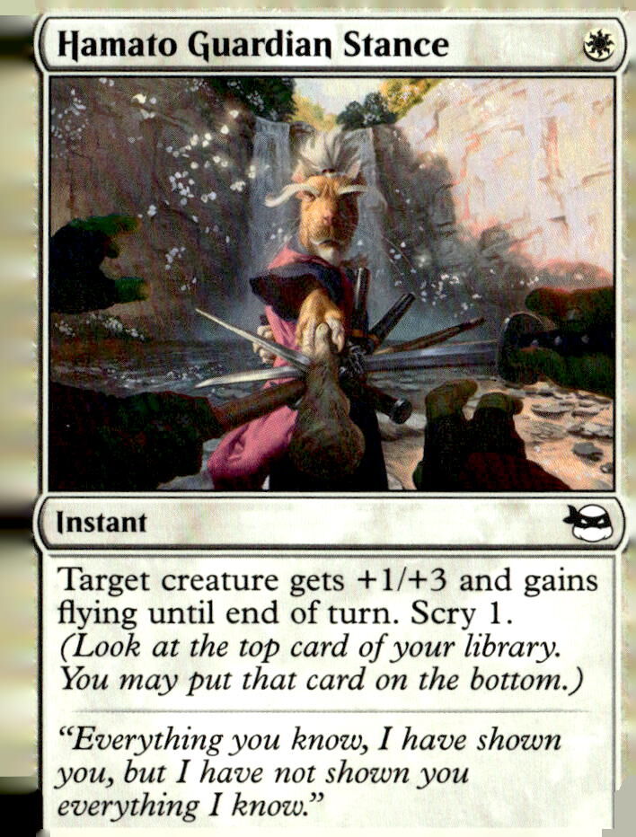 Teenage Mutant Ninja Turtles #8 Hamato Guardian Stance