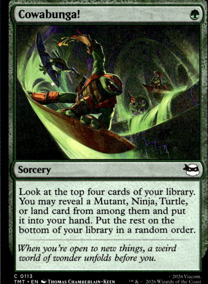 Teenage Mutant Ninja Turtles #113 Cowabunga!