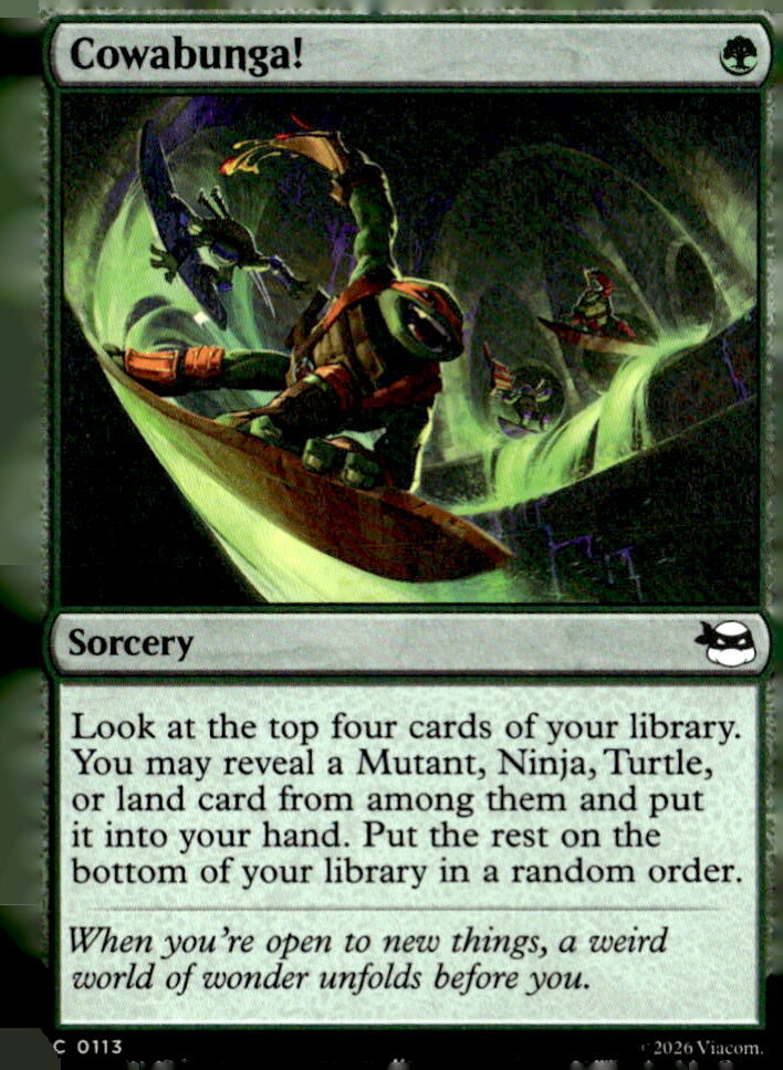 Teenage Mutant Ninja Turtles #113 Cowabunga!