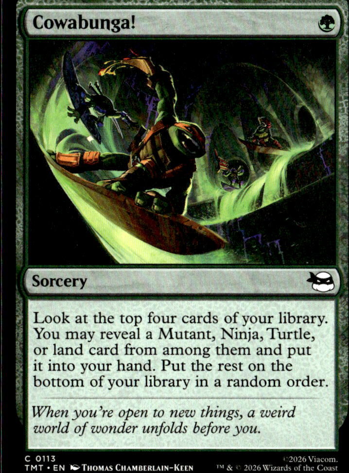 Teenage Mutant Ninja Turtles #113 Cowabunga!