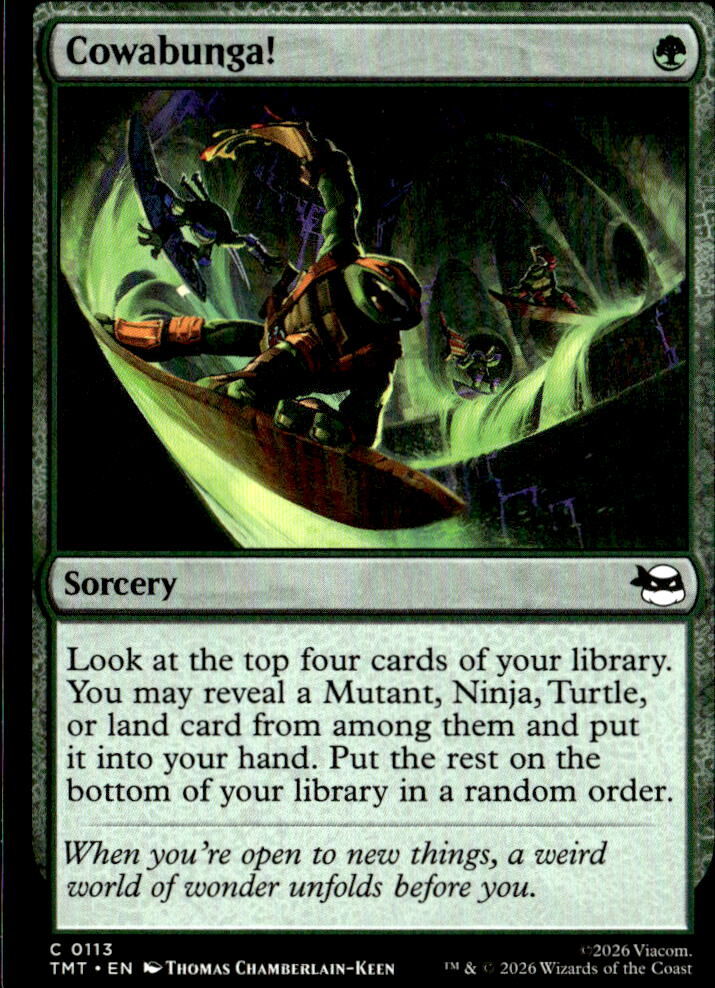 Teenage Mutant Ninja Turtles #113 Cowabunga!